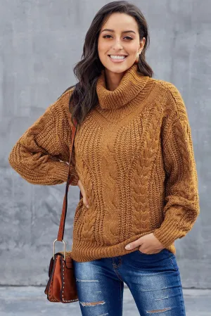 New Turtleneck Sweater